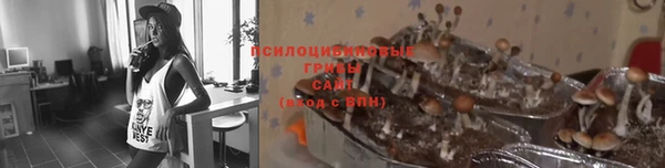 тгк Верхний Тагил